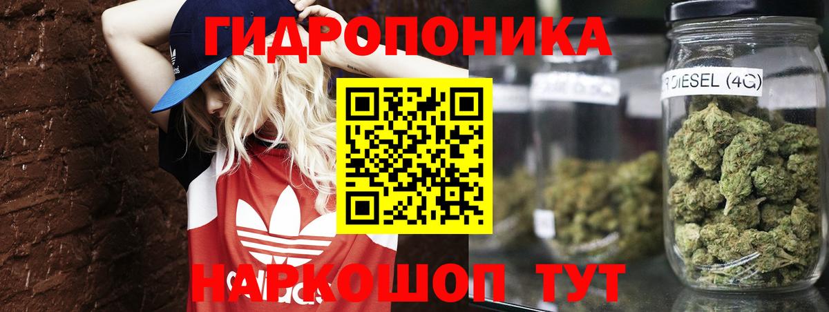 Лениногорск  Бошки Шишки гибрид  Бошки марихуана семена  Бошки Шишки Amnesia  Вход с VPN  Шишки марихуана ГИДРОПОН 